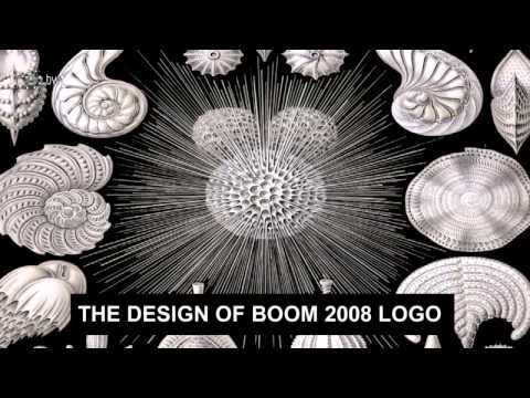 Boom Festival Web TV Showreel