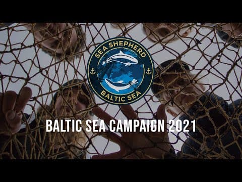 Baltic Sea Campaign 2021 | Recovery of Ghost nets in the Baltic Sea | SEA SHEPHERD