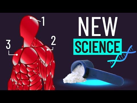 The Science Behind Creatine: How Much More Muscle & Strength?