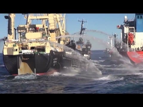 Protesters, whalers clash in Antarctic waters