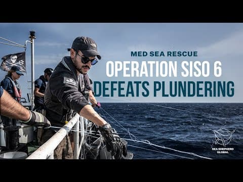 Med Sea Rescue: Operation Siso 6 Defeats Plundering