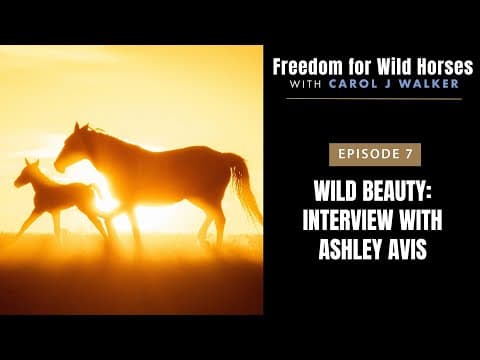 Freedom for Wild Horses Episode 7: Wild Beauty Interview with Ashley Avis