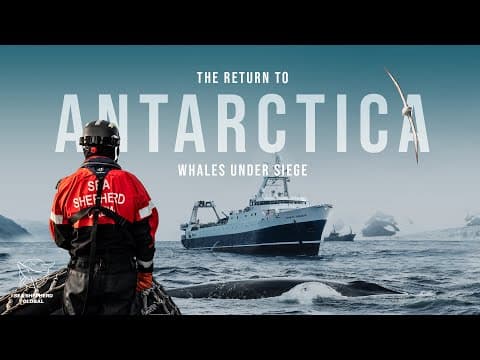 The Return To Antarctica: Whales Under Siege