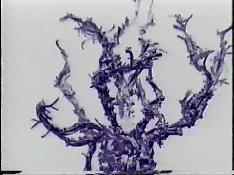 the BONE TREE @ Burning Man 1999 Part 1 (the prelude and BM walkabout)