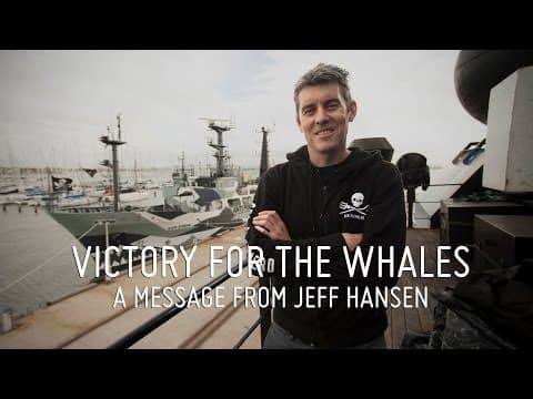 Victory for the Whales!