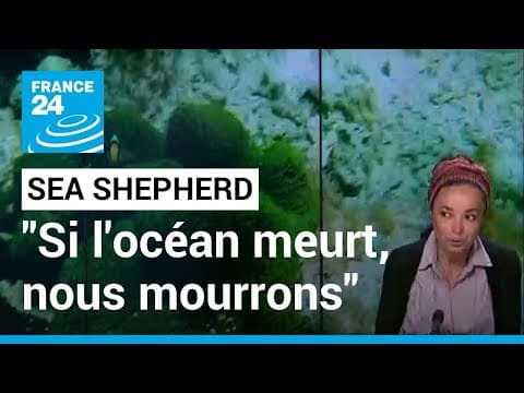 Journée mondiale de l'océan : "Si l'océan meurt, nous mourrons tous" • FRANCE 24