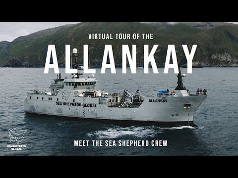 Virtual Tour of the Allankay: Discover the latest addition to the Sea Shepherd Global fleet
