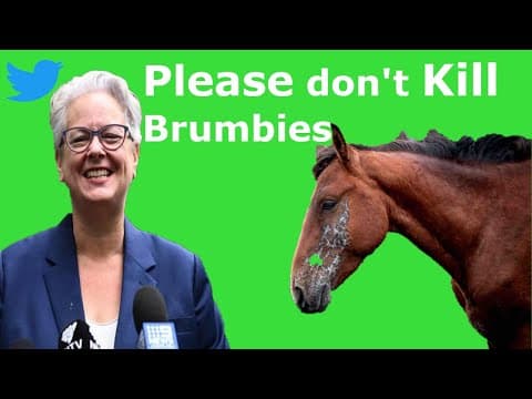 Controversy Erupts Over Wild Brumbies in NSW ! Penny Sharpe ! Labor Party ! Liberal ! Greens