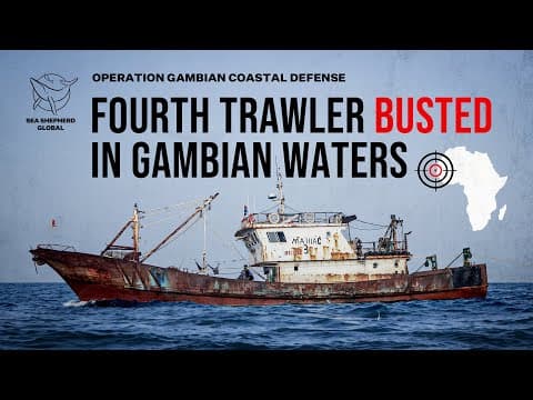 Fourth Trawler Arrested in The Gambia in Just a Week!