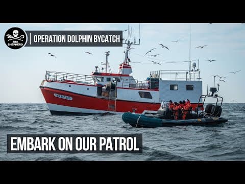 Behind the Scenes: Follow Our Media Crew on a Typical Patrol