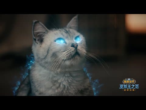 The Chinese cat advert, second episode