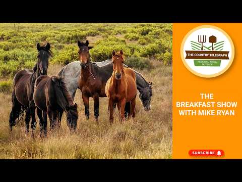Equine Collaborative International | EPBC act | Brumby Culls in Victoria | CFA Cancer concerns.