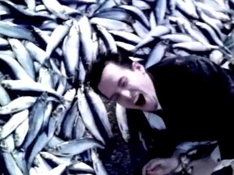 Filter - Jurassitol