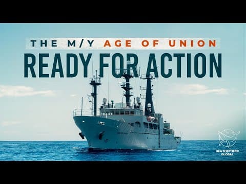 The M/Y Age of Union: Ready for Action