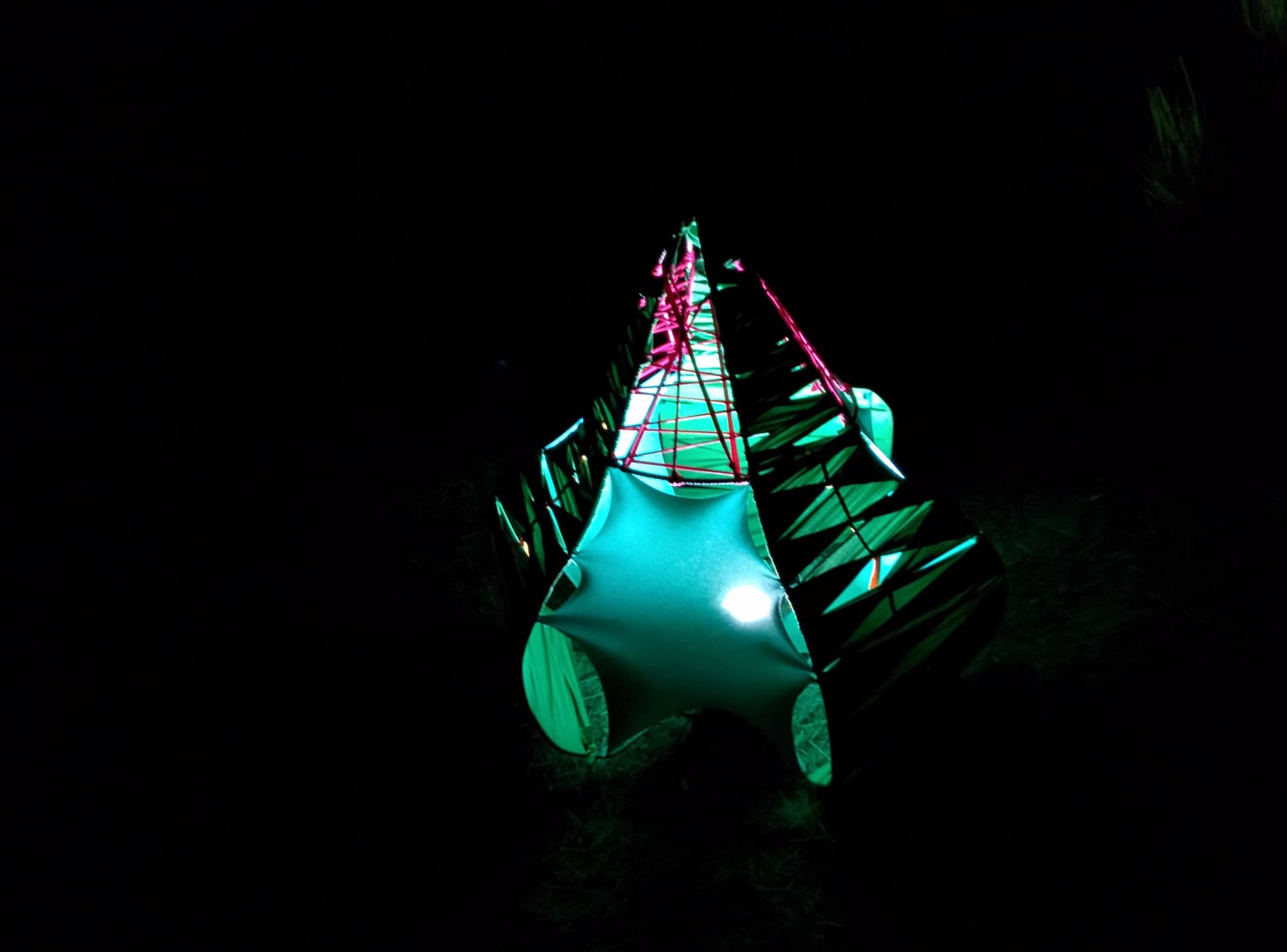Illuminated fish sculpture in the dark, Boom 2014