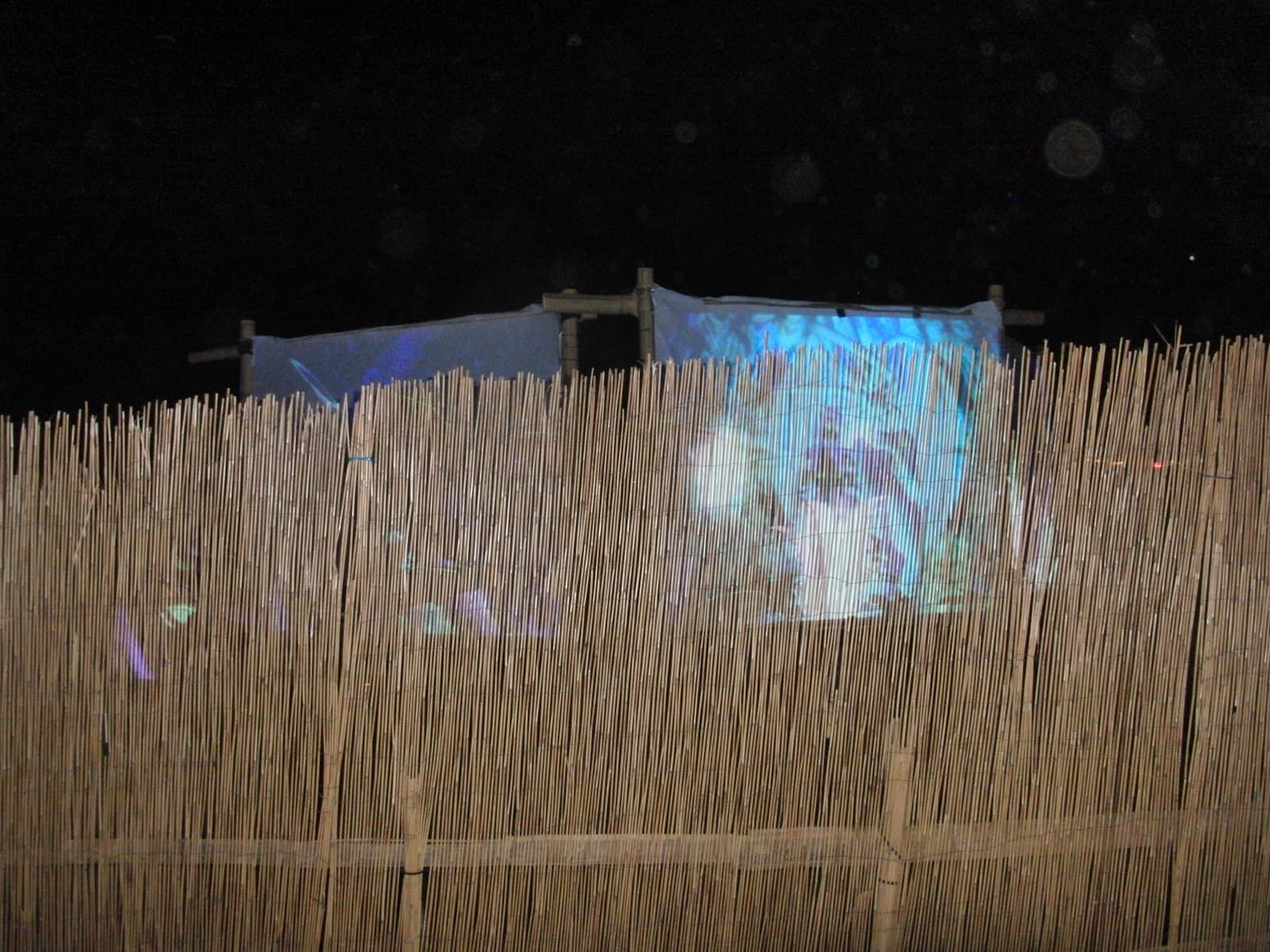 Projection cast onto a reed screen wall, Boom 2010