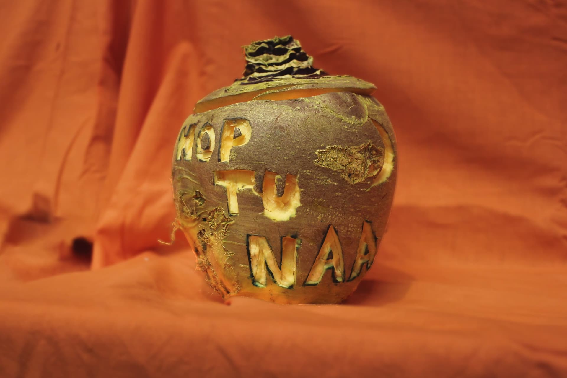 Hop-tu-naa Turnip (Maughold 2016)