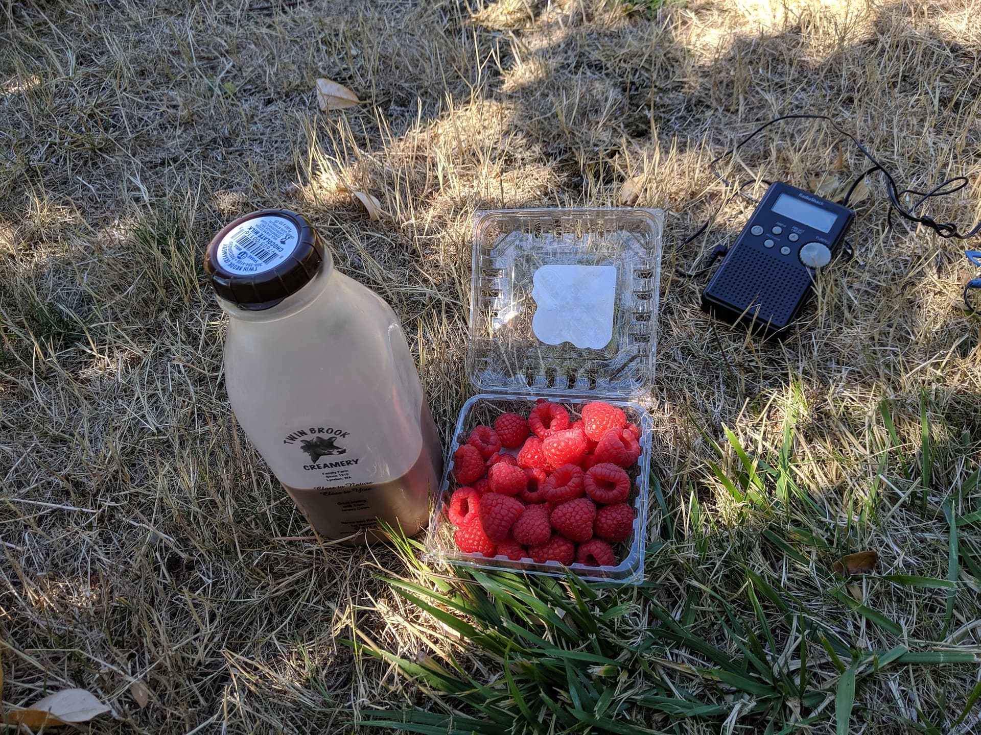 Fuel for a bike trip. Also regular radio lasts longer on batteries than cellphone.