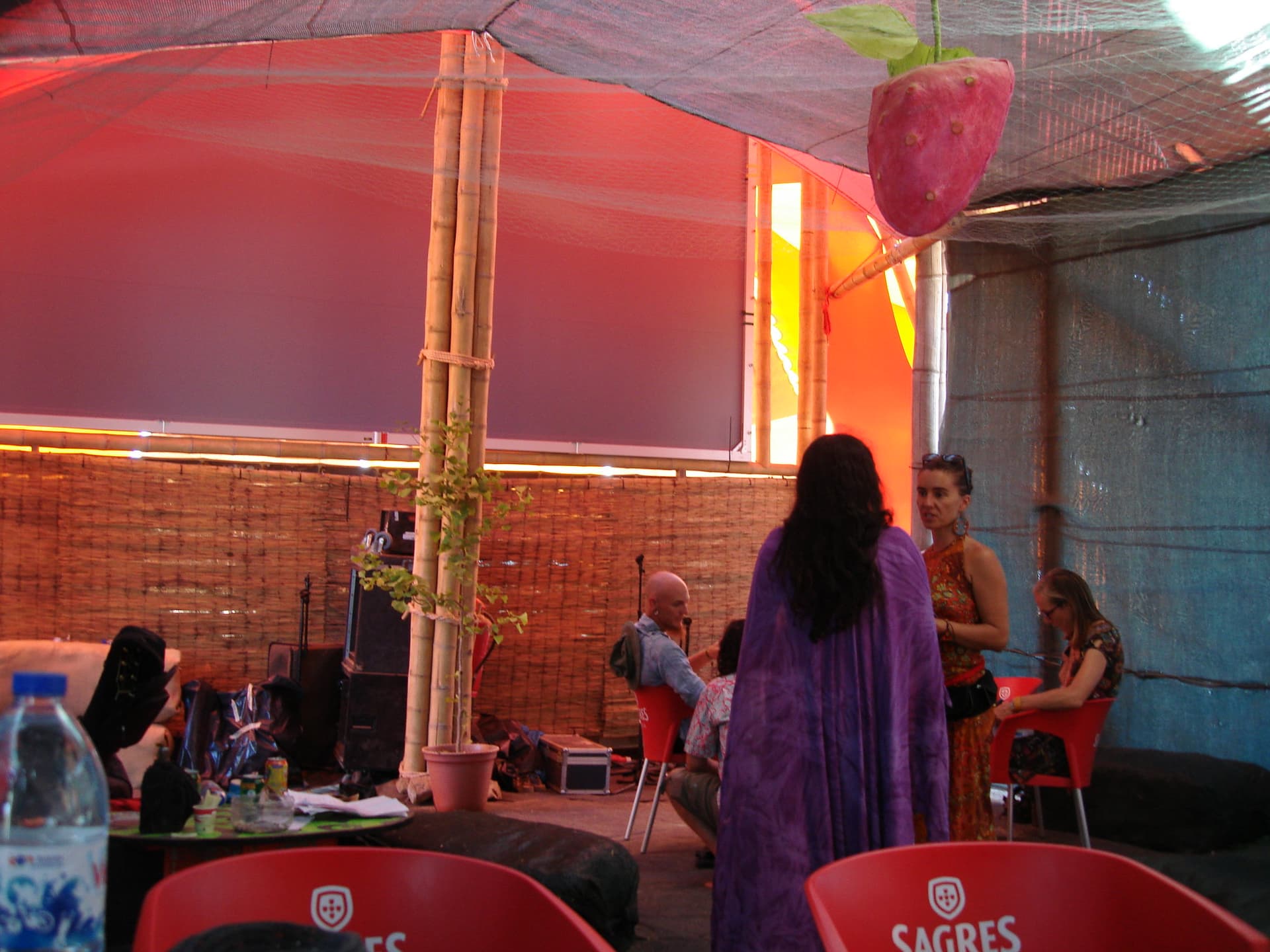 Backstage at the Liminal Village, Boom 2012