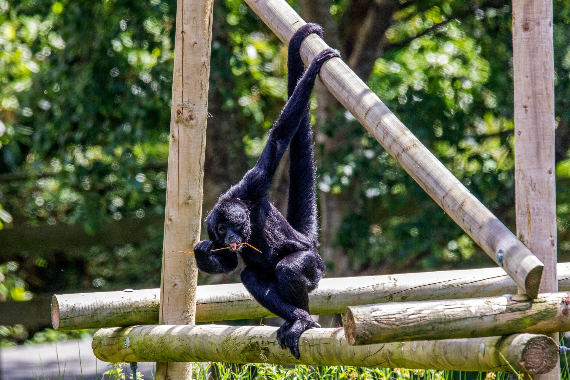 Wildlife Park (28)