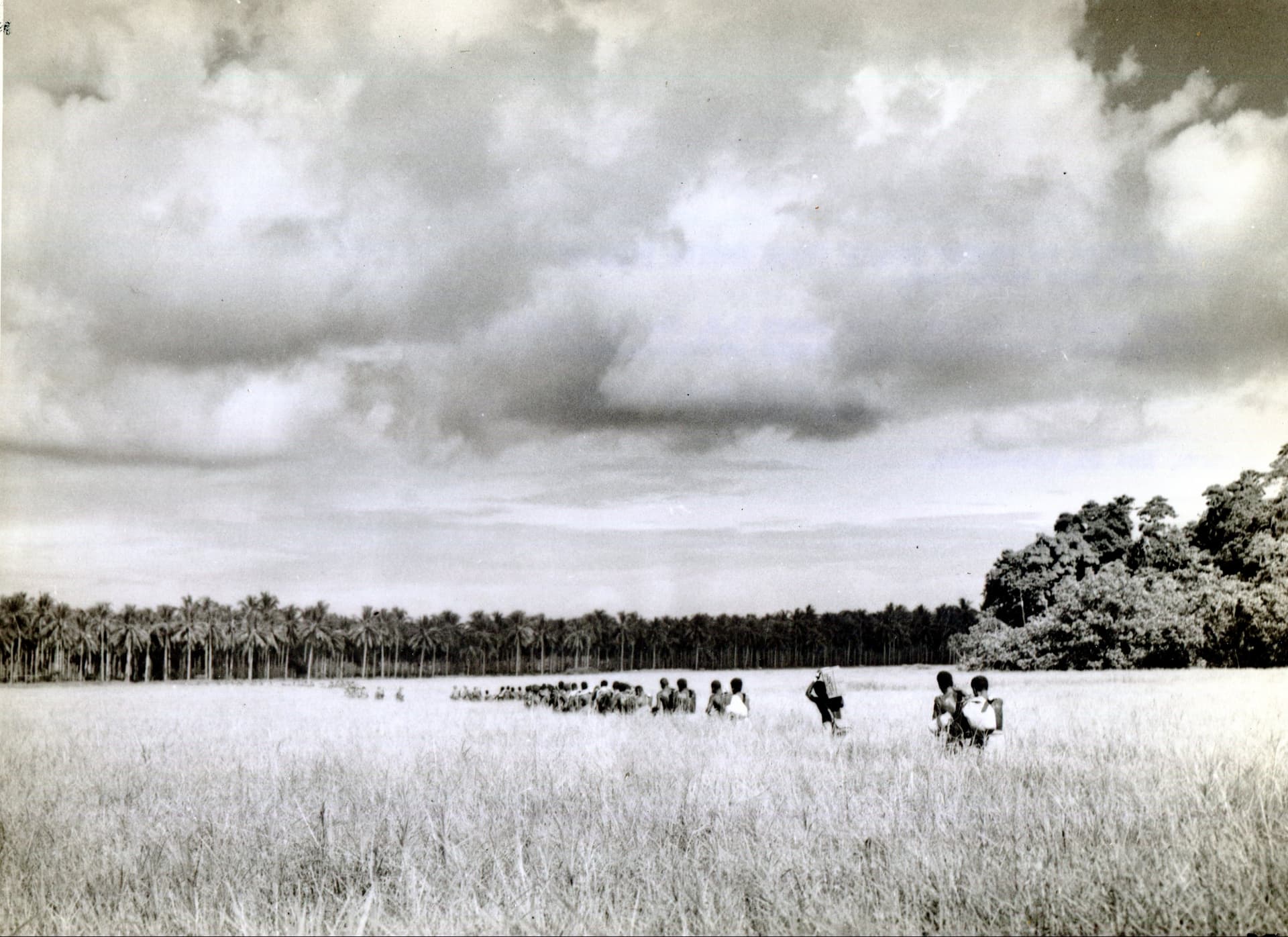 Native Guadalcanal Men Carrying U.S. Marine Supplies, Guadalcanal, circa 1942