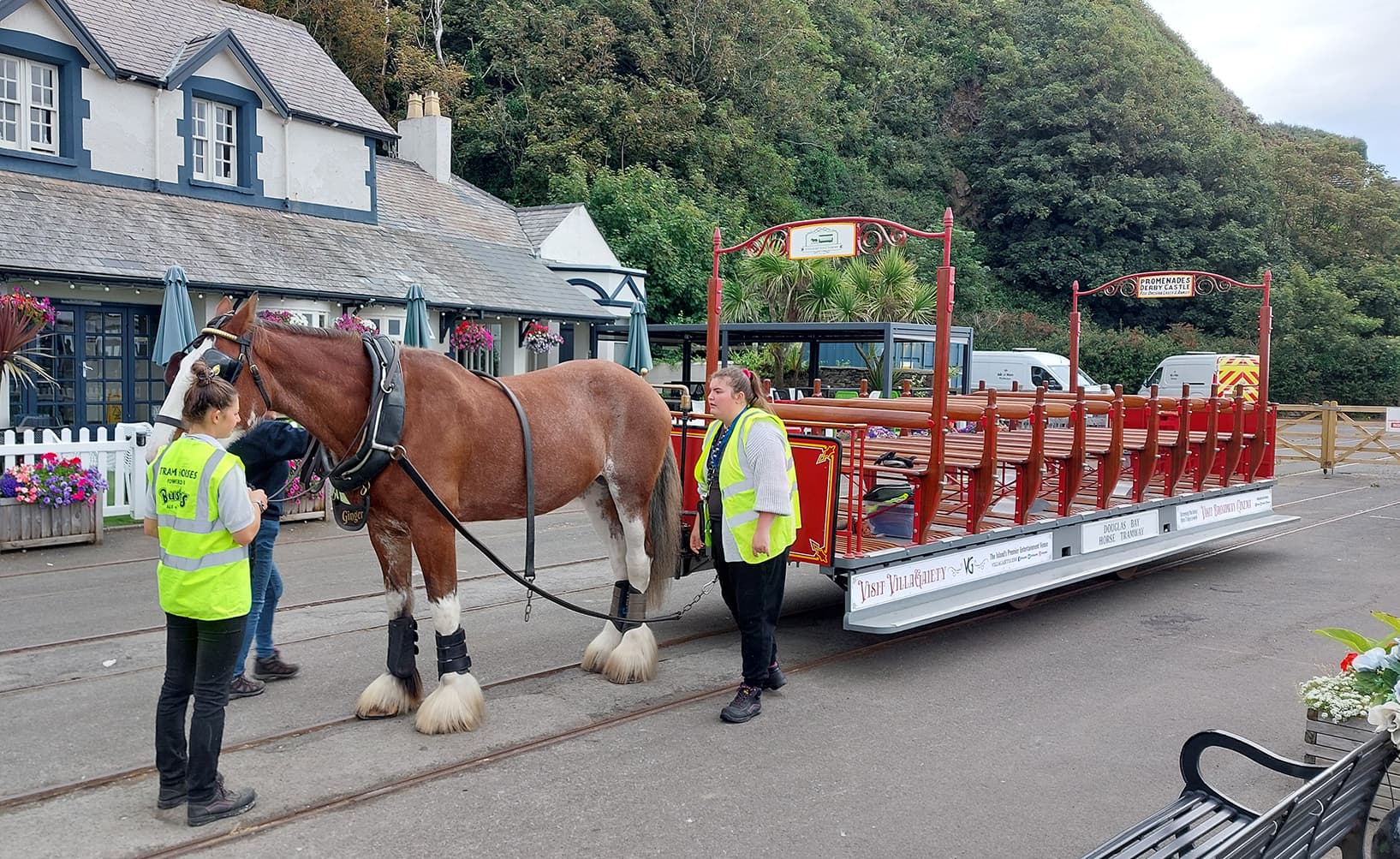 Ginger on the Doglas horse tramway