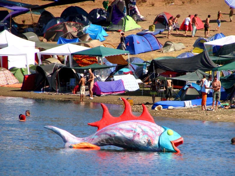 Painted fish sculpture floating at the lakeshore