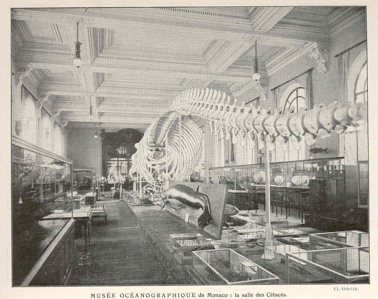 The cetacean hall of the Oceanographic Museum of Monaco, 1913