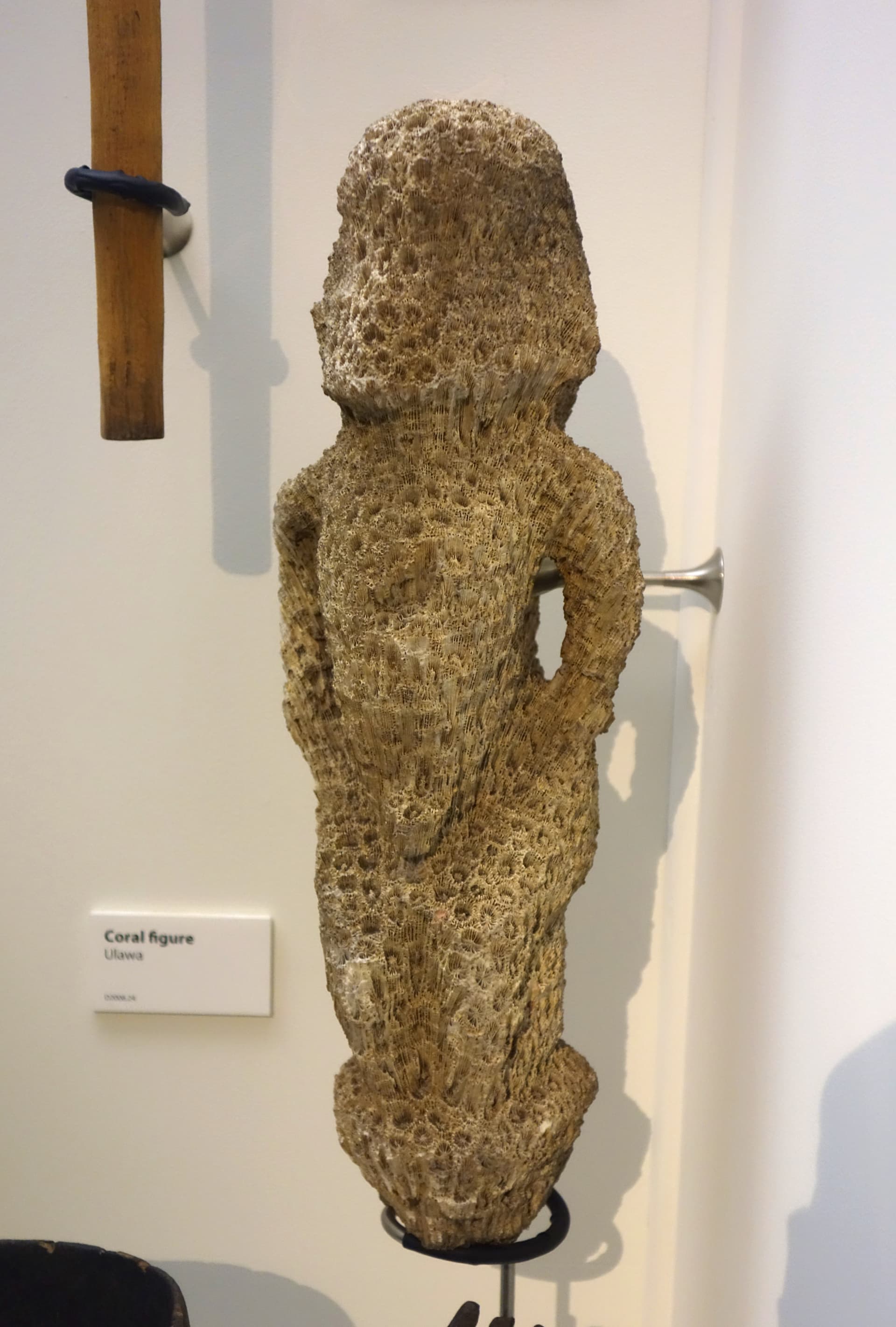 Figure, Ulawa, coral - Otago Museum - Dunedin, NZ