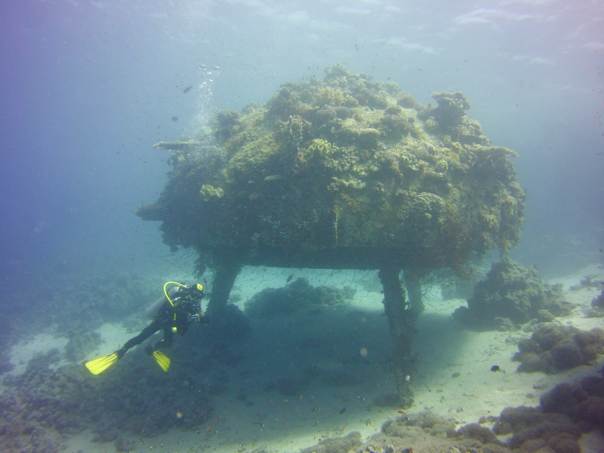 The remains of the Conshelf II garage on the Sudanese reef