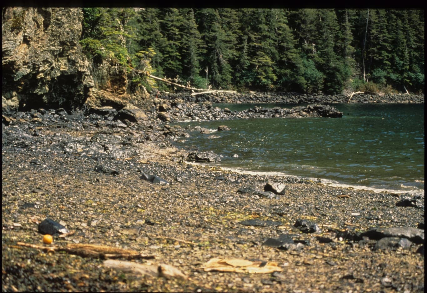Shoreline after the Exxon Valdez spill, 1989